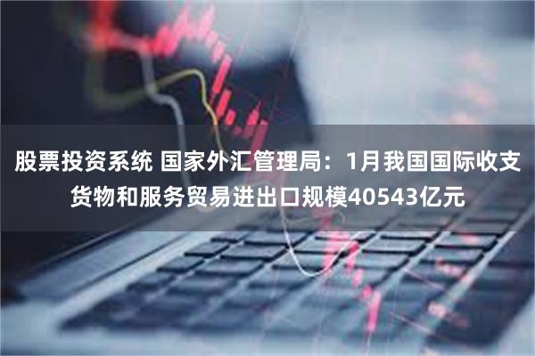 股票投资系统 国家外汇管理局：1月我国国际收支货物和服务贸易进出口规模40543亿元