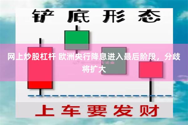 网上炒股杠杆 欧洲央行降息进入最后阶段，分歧将扩大