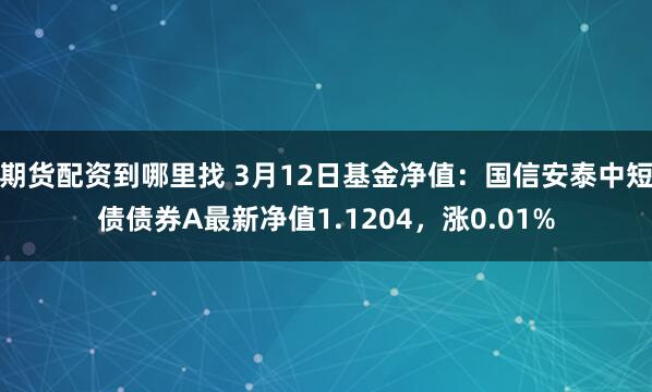 期货配资到哪里找 3月12日基金净值：国信安泰中短债债券A最新净值1.1204，涨0.01%